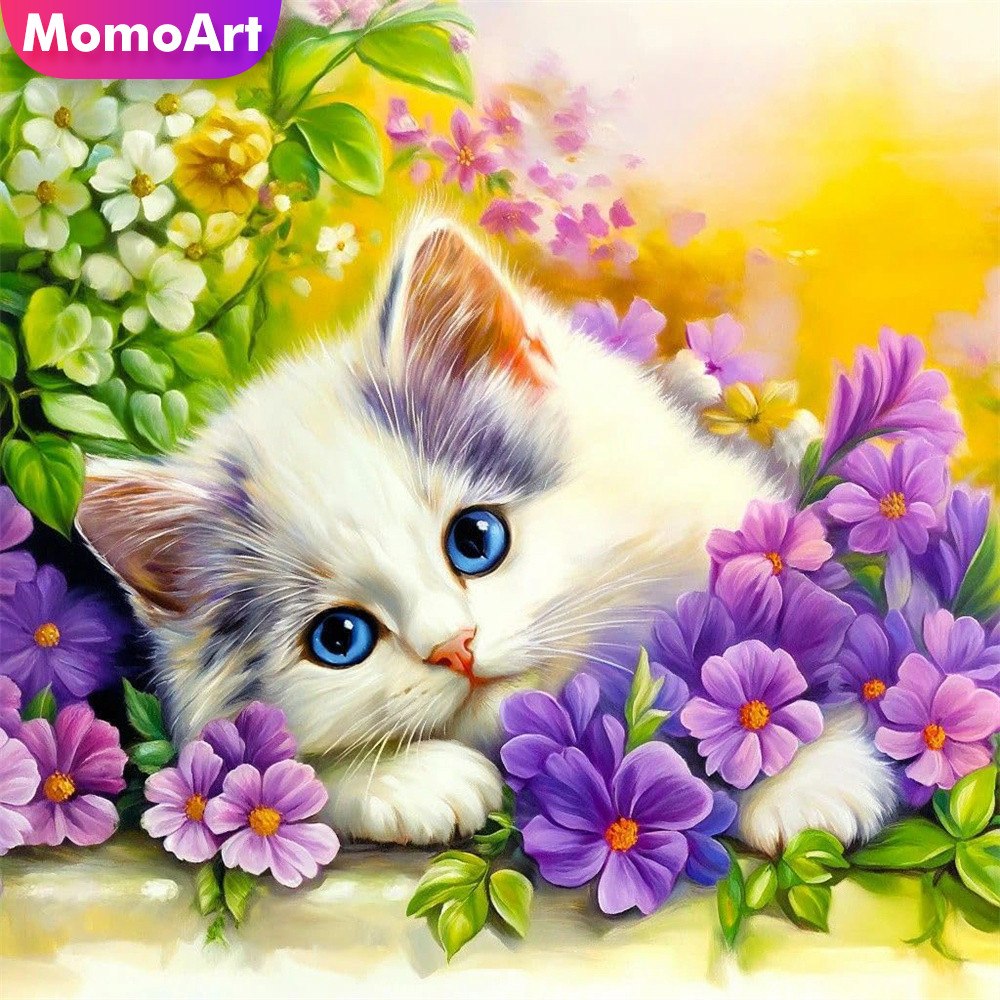 Momoart Punto Croce Contato Ga - Embroidery Unique Design recensione e prezzo
